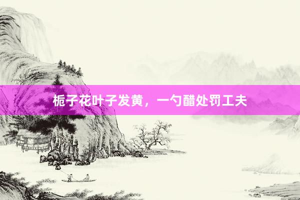 栀子花叶子发黄，一勺醋处罚工夫