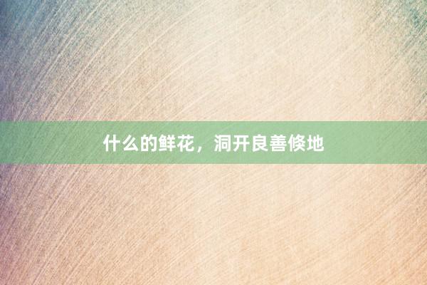 什么的鲜花，洞开良善倏地