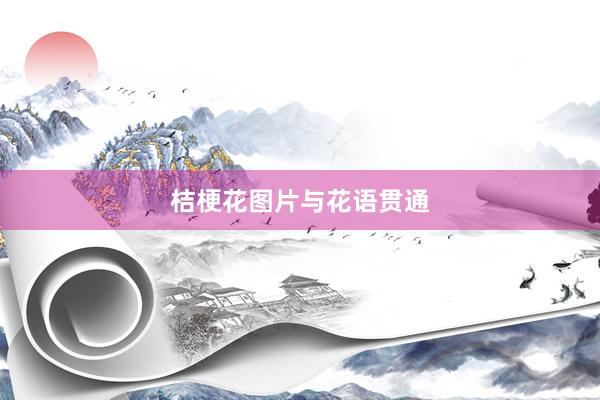 桔梗花图片与花语贯通