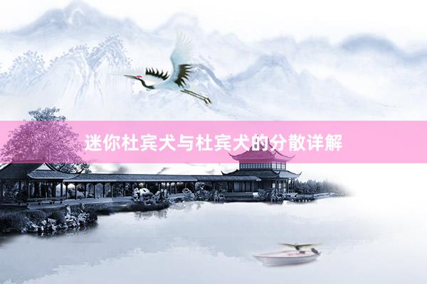 迷你杜宾犬与杜宾犬的分散详解